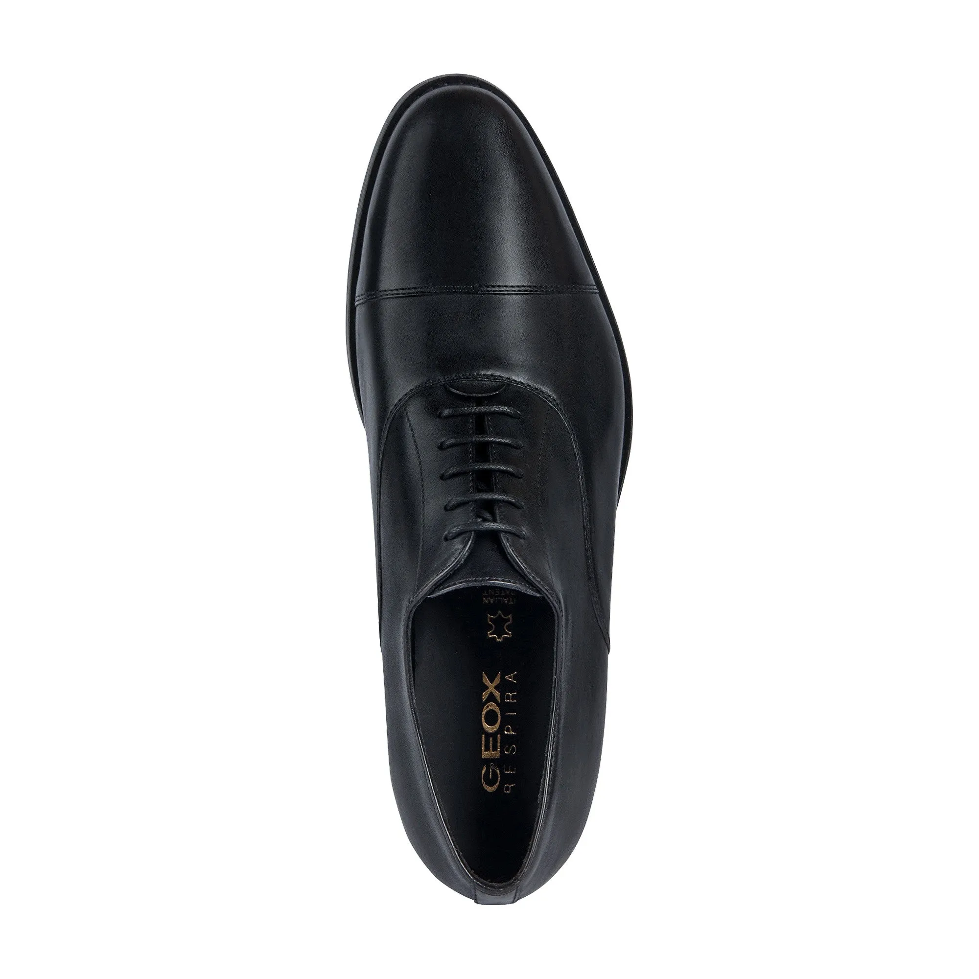 Geox Hampstead Men's Formal Lace Up Shoe