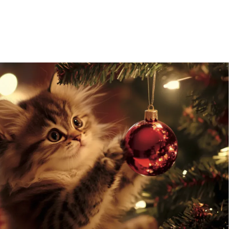 Selection Cute Kitten Cats Christmas Cards - Card Set or Single